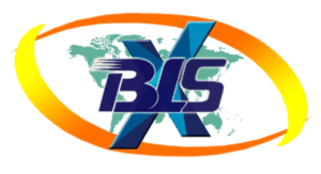 BLSX Limited Unlisted Share Price Price