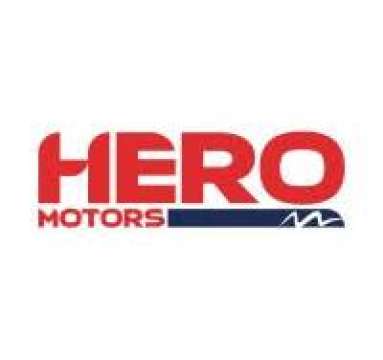 Hero motors Limited Unlisted Share Price